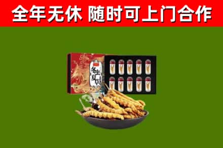六盘水市回收冬虫夏草价格