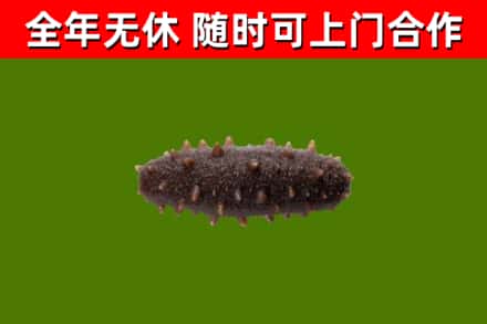 六盘水市烟酒回收干海参.jpg